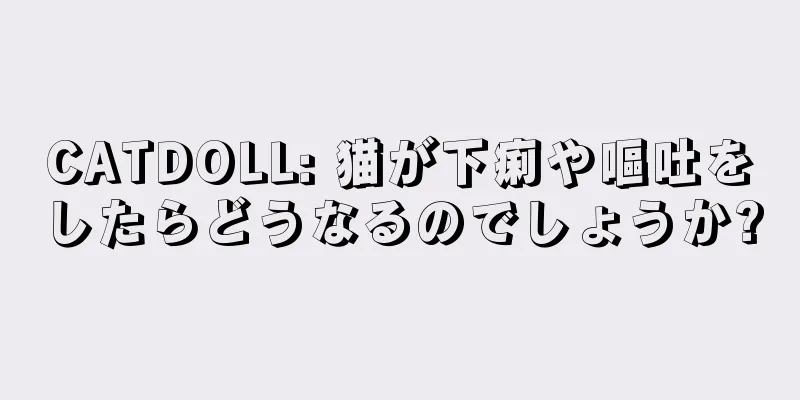 CATDOLL: 猫が下痢や嘔吐をしたらどうなるのでしょうか?