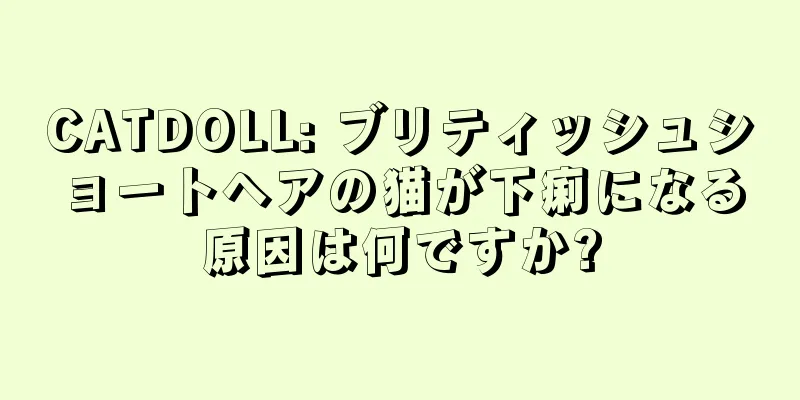 CATDOLL: ブリティッシュショートヘアの猫が下痢になる原因は何ですか?