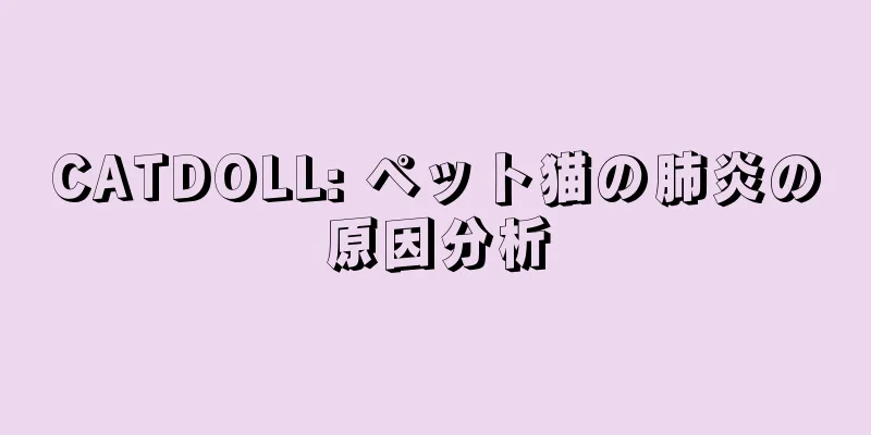 CATDOLL: ペット猫の肺炎の原因分析