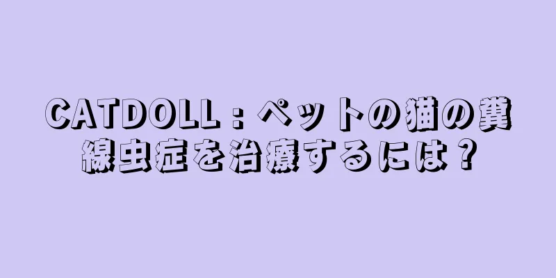 CATDOLL : ペットの猫の糞線虫症を治療するには？