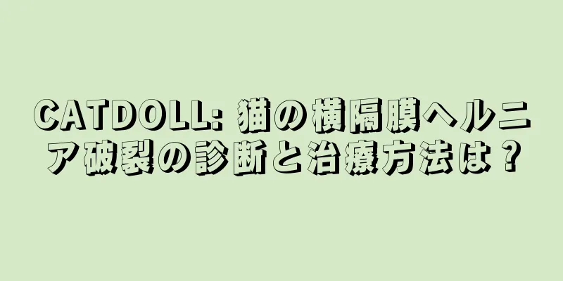 CATDOLL: 猫の横隔膜ヘルニア破裂の診断と治療方法は？