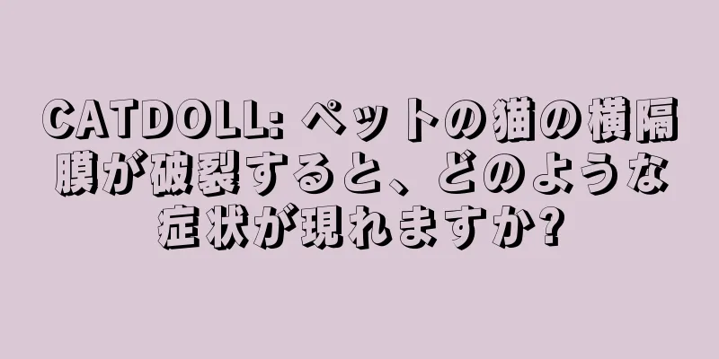CATDOLL: ペットの猫の横隔膜が破裂すると、どのような症状が現れますか?