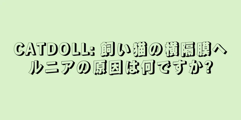 CATDOLL: 飼い猫の横隔膜ヘルニアの原因は何ですか?