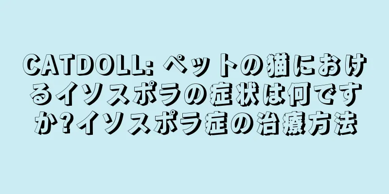 CATDOLL: ペットの猫におけるイソスポラの症状は何ですか?イソスポラ症の治療方法