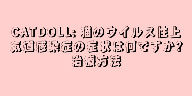 CATDOLL: 猫のウイルス性上気道感染症の症状は何ですか?治療方法