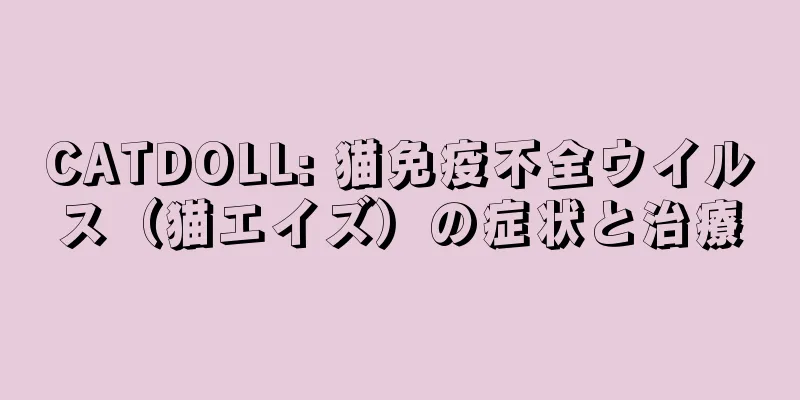 CATDOLL: 猫免疫不全ウイルス（猫エイズ）の症状と治療