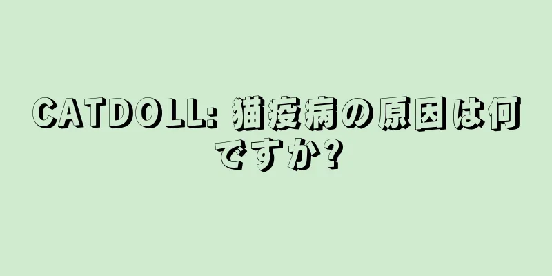 CATDOLL: 猫疫病の原因は何ですか?