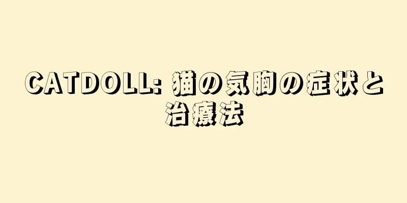 CATDOLL: 猫の気胸の症状と治療法