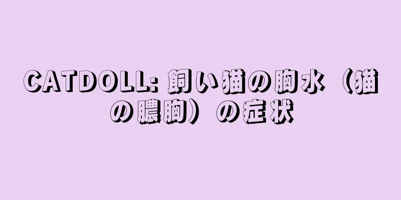 CATDOLL: 飼い猫の胸水（猫の膿胸）の症状