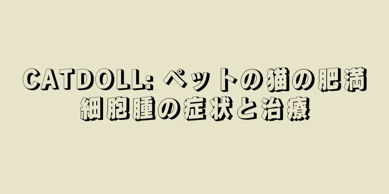 CATDOLL: ペットの猫の肥満細胞腫の症状と治療