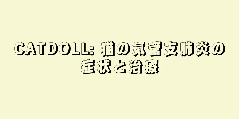 CATDOLL: 猫の気管支肺炎の症状と治療