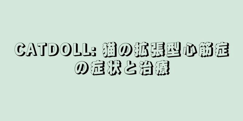 CATDOLL: 猫の拡張型心筋症の症状と治療