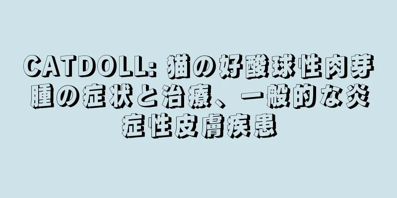 CATDOLL: 猫の好酸球性肉芽腫の症状と治療、一般的な炎症性皮膚疾患