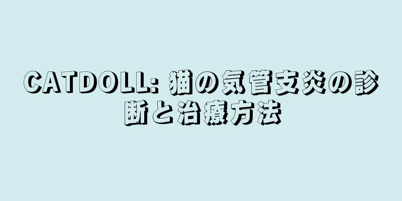 CATDOLL: 猫の気管支炎の診断と治療方法