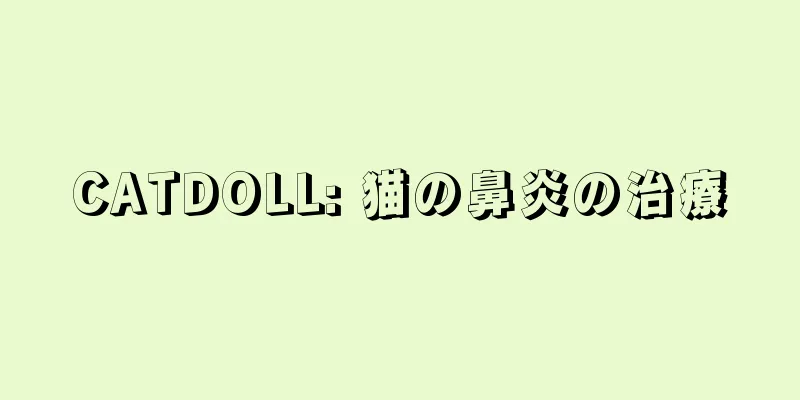 CATDOLL: 猫の鼻炎の治療