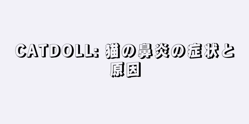 CATDOLL: 猫の鼻炎の症状と原因