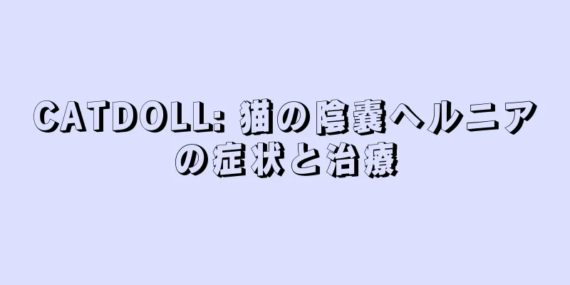 CATDOLL: 猫の陰嚢ヘルニアの症状と治療