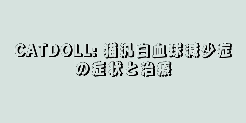 CATDOLL: 猫汎白血球減少症の症状と治療