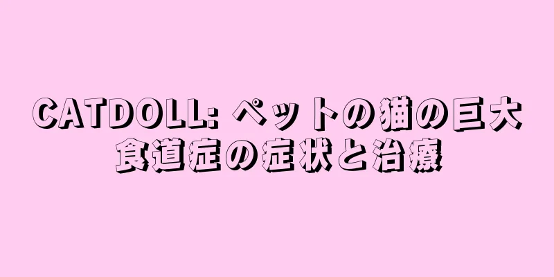 CATDOLL: ペットの猫の巨大食道症の症状と治療