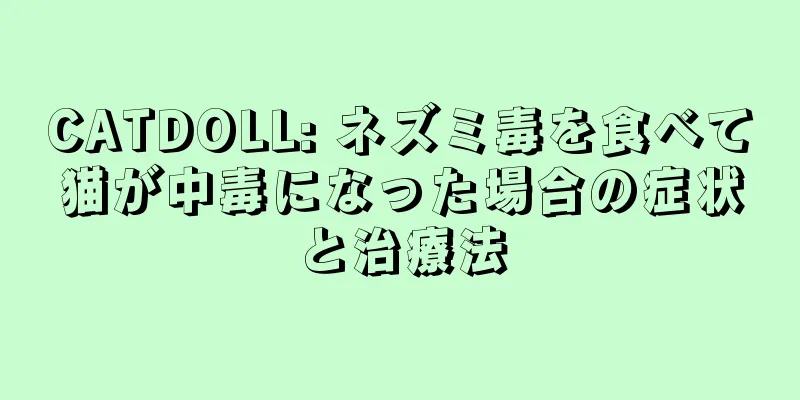 CATDOLL: ネズミ毒を食べて猫が中毒になった場合の症状と治療法
