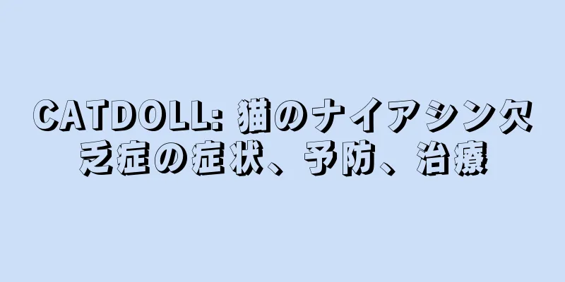 CATDOLL: 猫のナイアシン欠乏症の症状、予防、治療