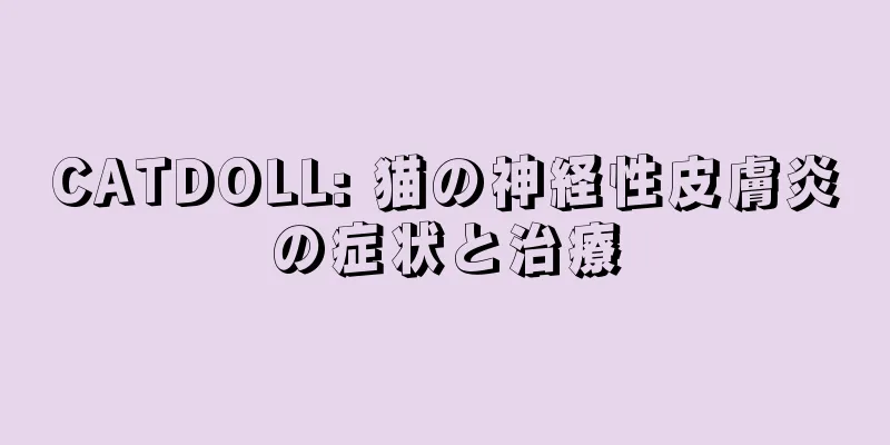 CATDOLL: 猫の神経性皮膚炎の症状と治療