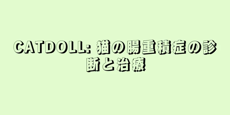 CATDOLL: 猫の腸重積症の診断と治療