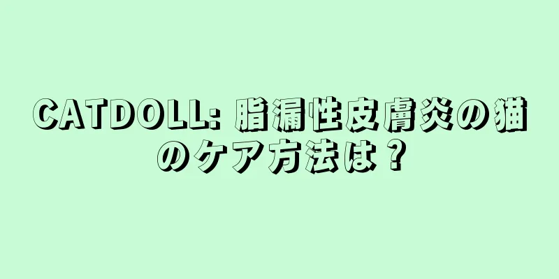 CATDOLL: 脂漏性皮膚炎の猫のケア方法は？
