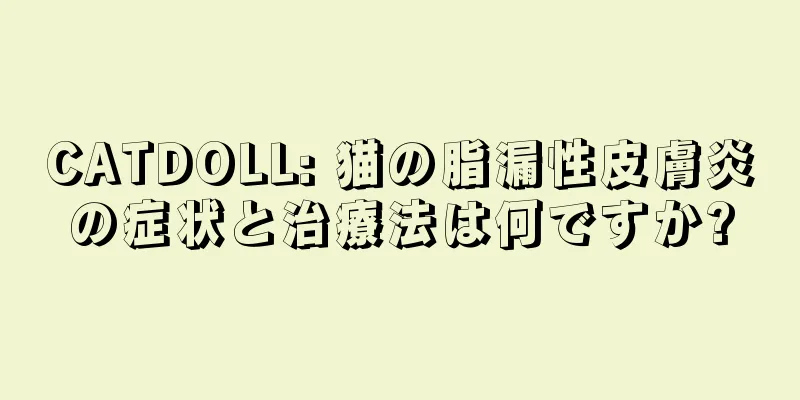 CATDOLL: 猫の脂漏性皮膚炎の症状と治療法は何ですか?
