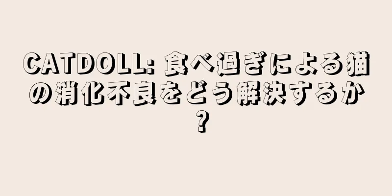 CATDOLL: 食べ過ぎによる猫の消化不良をどう解決するか？