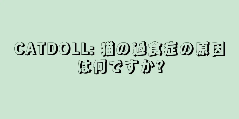 CATDOLL: 猫の過食症の原因は何ですか?