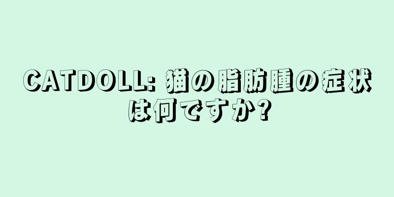 CATDOLL: 猫の脂肪腫の症状は何ですか?