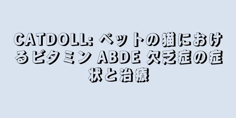 CATDOLL: ペットの猫におけるビタミン ABDE 欠乏症の症状と治療