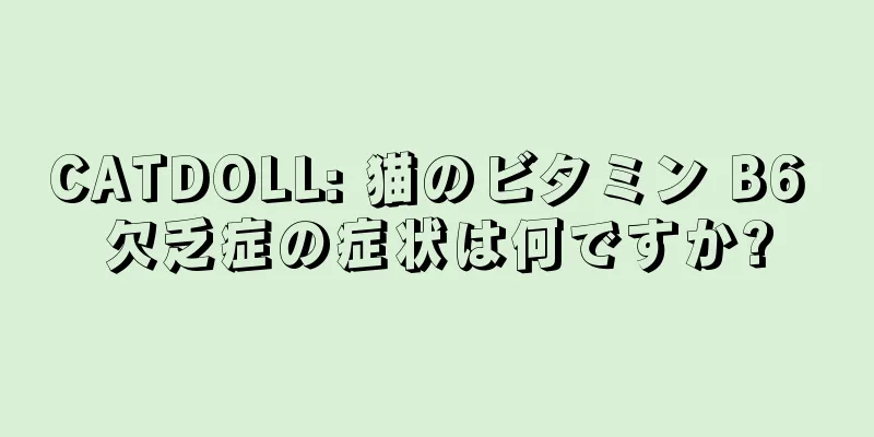 CATDOLL: 猫のビタミン B6 欠乏症の症状は何ですか?