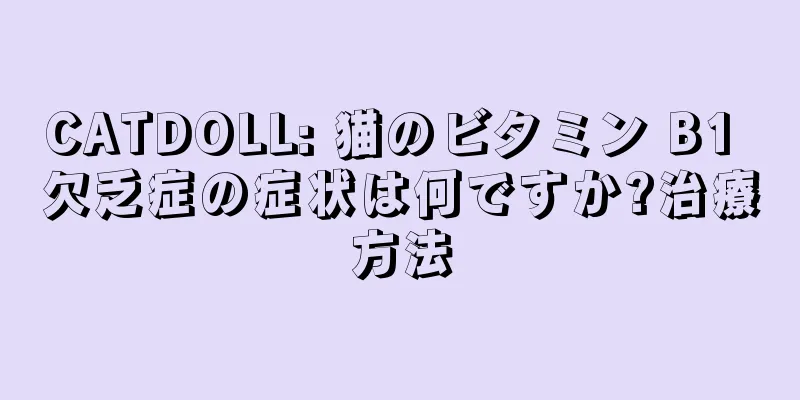 CATDOLL: 猫のビタミン B1 欠乏症の症状は何ですか?治療方法