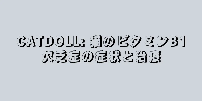 CATDOLL: 猫のビタミンB1欠乏症の症状と治療