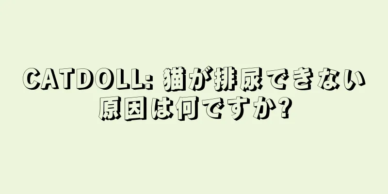 CATDOLL: 猫が排尿できない原因は何ですか?