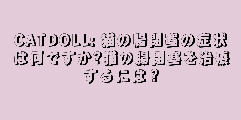 CATDOLL: 猫の腸閉塞の症状は何ですか?猫の腸閉塞を治療するには？
