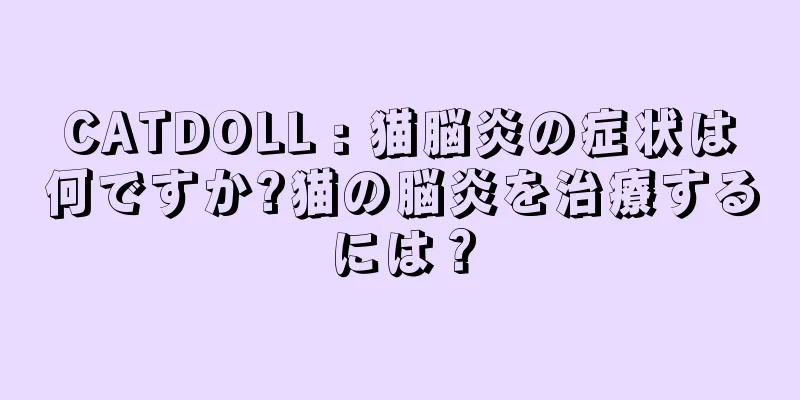 CATDOLL : 猫脳炎の症状は何ですか?猫の脳炎を治療するには？