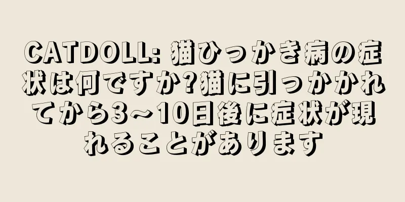 CATDOLL: 猫ひっかき病の症状は何ですか?猫に引っかかれてから3～10日後に症状が現れることがあります