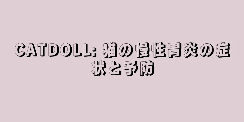 CATDOLL: 猫の慢性胃炎の症状と予防