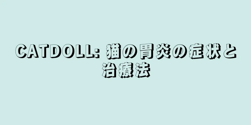 CATDOLL: 猫の胃炎の症状と治療法