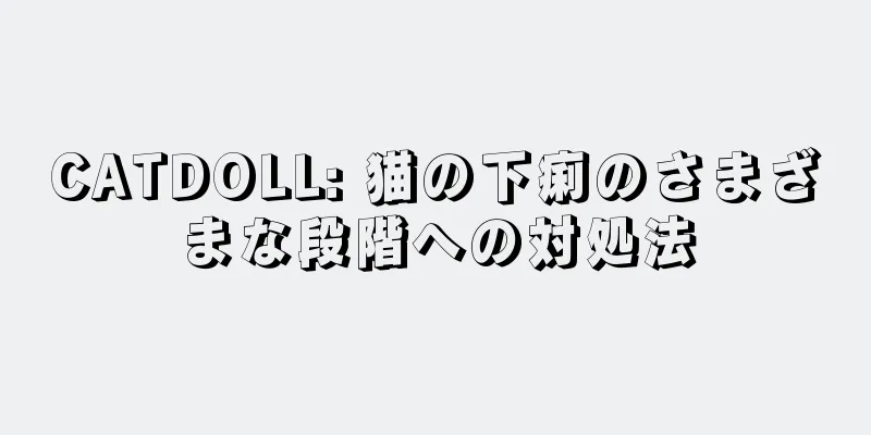 CATDOLL: 猫の下痢のさまざまな段階への対処法