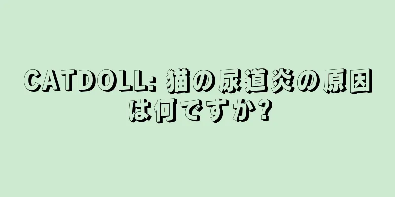 CATDOLL: 猫の尿道炎の原因は何ですか?