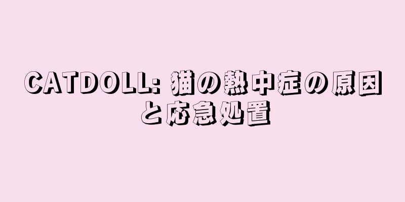 CATDOLL: 猫の熱中症の原因と応急処置