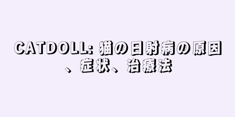 CATDOLL: 猫の日射病の原因、症状、治療法