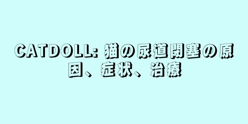CATDOLL: 猫の尿道閉塞の原因、症状、治療