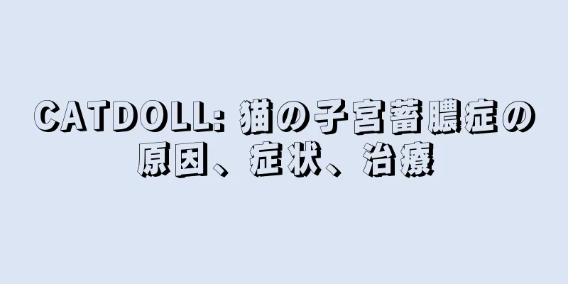 CATDOLL: 猫の子宮蓄膿症の原因、症状、治療