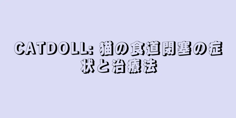 CATDOLL: 猫の食道閉塞の症状と治療法