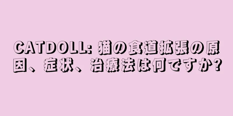 CATDOLL: 猫の食道拡張の原因、症状、治療法は何ですか?